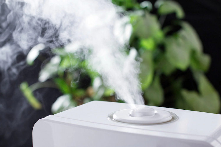 Use a Humidifier to Combat Dry Indoor Air